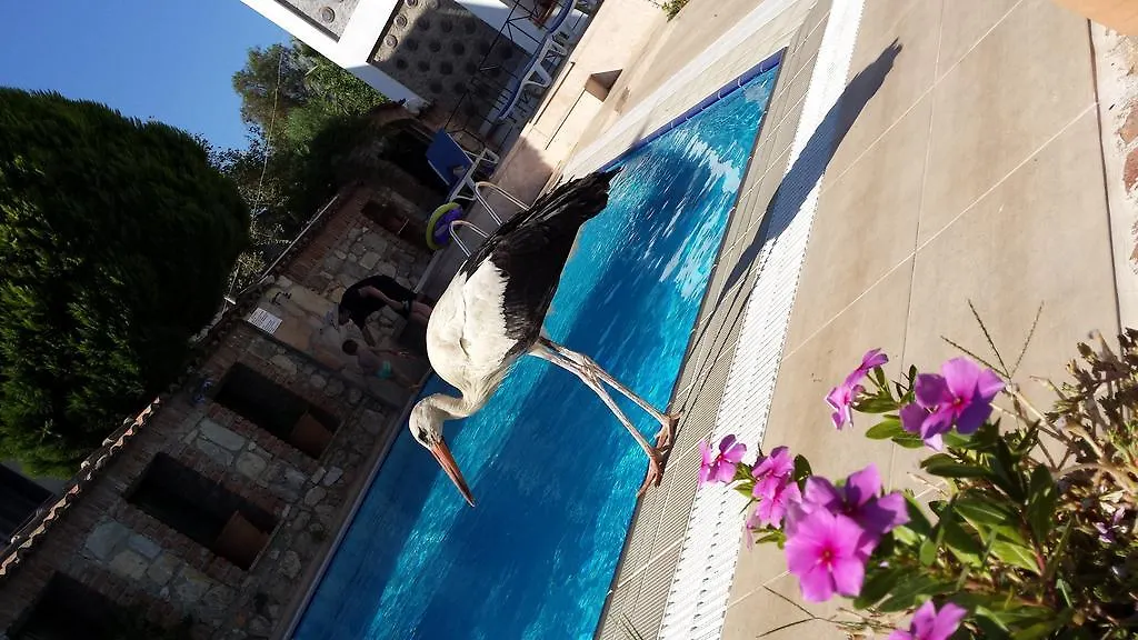 Akay Hotel Selcuk Turkey
